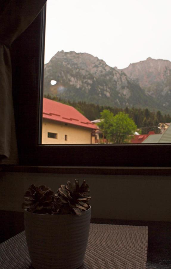 Apartament Mountain Life 부스테니 외부 사진